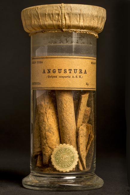 ANGUSTURA - corteccia